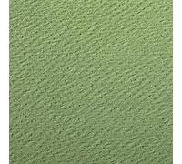 Clairefontaine 93896C - Pochette carta da disegno colorata Etival Color, doppia grana, 25 fogli 21x29.7 cm 160 g, verde mela