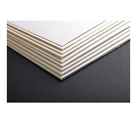 Clairefontaine 93961C Supporti Cartonlegno, 80.3 x 60 x 0.8 cm, Beige