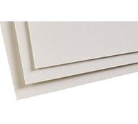 Clairefontaine 96020C Confezione Carta Pastelmat - 5 Fogli di carta Speciale per Pastelli secchi - 50x70 cm 360g - Grigio Chiaro