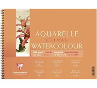 Clairefontaine 96070C - Album a spirale carta Etival 12 fogli grana fine 18x24 cm 300 g, bianca