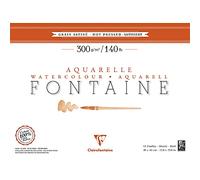 Clairefontaine 96351C - Blocco incollato 1 lato carta da disegno Fontaine 12 fogli a grana satinata 30x40 cm 300 g, bianca