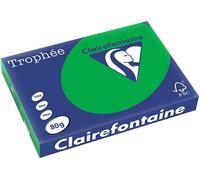 Clairefontaine Biljartgroen 80 grams A3 (500 vel) Gekleurd papier