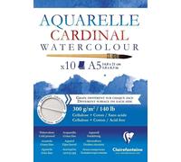 Clairefontaine 96182C - Blocco incollato in testa carta da disegno Cardinal 10 fogli 14.8x21 cm 300 g , bianca