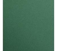 Clairefontaine - Confezione da 10 cartoncini Maya formato A1, colore: Verde antico