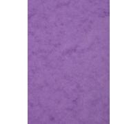 Clairefontaine Europa-Cartoncino colorato, formato A3 Lilac/Green