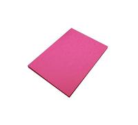 Clairefontaine Europa-Cartoncino colorato, formato A3 Pink/Pink