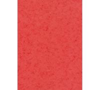 Clairefontaine Europa-Cartoncino colorato, formato A3 rosso/nero