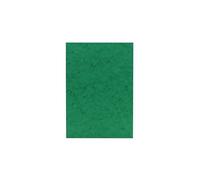 Clairefontaine Europa-Cartoncino colorato, formato A3 Verde/bianco