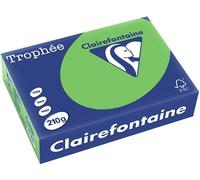 Clairefontaine Verde erba A4 Carta colorata 210 gsm (250 fogli)
