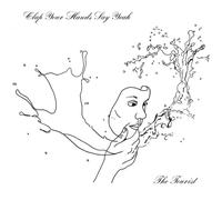 Clap Your Hands Say Yeah The Tourist (CD) Album