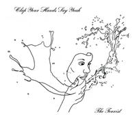 Clap Your Hands Say Yeah The Tourist (CD) Album