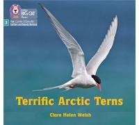 Clare Helen Welsh Terrific Arctic Terns (Tascabile)