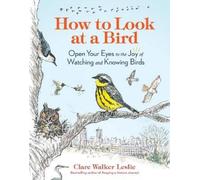 Clare Walker Leslie How to Look at a Bird (Tascabile)