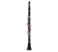 CLARINET 17 TUNE TUNE B/BAKELITE TUBO BODY MATERIALE BODY CLARINET STRUTTUR STRUMENTO WOODWIND (Color : 355)