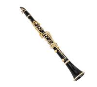 Clarinet Clarinetto professionale in ebanite a 17 tasti in si bemolle | Compatto e portatile con un bel tono