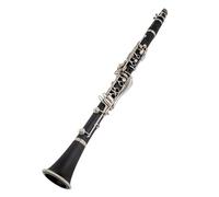 Clarinet Per Principianti B-flat Tune Strumenti A Fiato Professionali Clarinetto 17 Tasti Tubo Nero Con Custodia Accessori