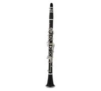 Clarinet Per Principianti Clarinetto 17 Tasti Discendente Tune B/Materiale Del Corpo Del Tubo In Bachelite Clarinetto Strumento A Fiato