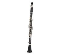 Clarinet Per Principianti Clarinetto 17 Tasti Discendente Tune B/Materiale Del Corpo Del Tubo In Bachelite Clarinetto Strumento A Fiato