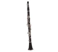 Clarinet Per Principianti Clarinetto 17 Tasti Discendente Tune B/Materiale Del Corpo Del Tubo In Bachelite Clarinetto Strumento A Fiato(355)