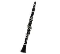 Clarinet Per Principianti Clarinetto 17 Tasti Sib Si Bemolle Strumento A Fiato Professionale Clarinetto Tubolare In Resina ABS Con Ancia In Scatola(Black)