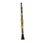 Clarinet Per Principianti Clarinetto Falling Tune B 17 Tasti Materiale Del Corpo In Resina ABS Clarinetto(Gold)