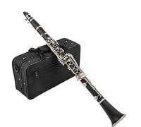 Clarinet Per Principianti Clarinetto Falling Tune B 17 Tasti Materiale Del Corpo In Resina ABS Clarinetto(Silver)