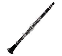 Clarinet Per Principianti Clarinetto Falling Tune B Clarinetto Legno Ebano Clarinetto Tubo 17 Chiavi Clarinetto