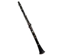 Clarinet Per Principianti Clarinetto G Tune 20 Tasti In Resina ABS Materiale Per Bambini Chiavi Placcate In Nichel
