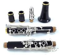 Clarinet Per Principianti Clarinetto Sib 17 Tasti Materiale ABS Ampia Gamma Di Toni Particolarmente Adatto Ai Principianti Con L'uso Di Strumenti E 2 R