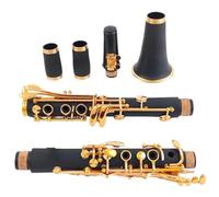 Clarinetti con un suono pulito Clarinetto in Sib professionale strumento a fiato