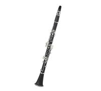 Clarinetti con un suono pulito Clarinetto professionale in Si bemolle adatto a principianti e adulti
