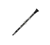Clarinetti con un suono pulito Il clarinetto è adatto per la pratica e l esecuzione dei principianti