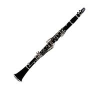 Clarinetto 17 Key Falling Tune B/ABS Materiale Del Corpo Del Tubo Clarinetto Clarinetti