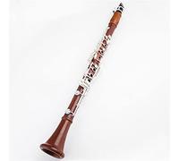 Clarinetto 17 Key Tune B/bakelite Materiale Del Corpo Del Tubo Clarinetto Strumento A Fiato Clarinetti