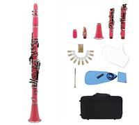 Clarinetto ABS 17. Chiave BB Bb Bb Binocular Clarinetto Con Guanti Di Stoffa Di Pulizia 10 Canne/Custodia Clarinetti (Color : Pink)