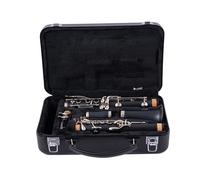 Clarinetto B bemolle principiante professionista che suona il clarinetto clarinetto sib