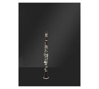 Clarinetto Clarinetto In Si Bemolle Argentato Per Principianti Esame Di Ammissione Scuola Orchestra