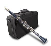 Clarinetto Clarinetto In Sib Per Principianti In ABS Con Custodia Custodia Da Trasporto Con Cinturino Per Ance Da 10 Pezzi
