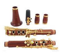 clarinetto Clarinetto In Un Clarinetto Con Melodia Professionale In Palissandro 17 Clarinetto Placcato In Argento