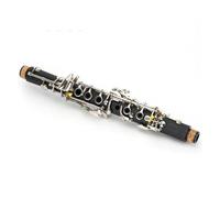 Clarinetto Clarinetto Mib Corpo In Tubo ABS Chiave In Alpacca Strumenti