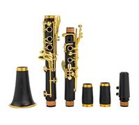 clarinetto Clarinetto Professionale In Sib Corpo In ABS Laccato Dorato 17 Chiave In Nichel Rame Clarinetto Nero Per Principianti E Professionisti