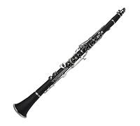 Clarinetto G Tune 20-Key Plastic Material Clarinet Playing Wind Strumento (Color : Black)