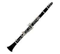 Clarinetto in Bb Dittegiatura Boehm 17 Chiavi Apacca Argentato con Borsa 2 Ance