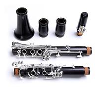 Clarinetto In Ebano Professionale Tono Sib 17/18 Chiavi Argento Placcato Grenadilla In Legno Massello Sib Klarnet (Color : 18 keys)