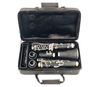 Clarinetto In Sib 17 Tasti Klarnet In Sib/Materiale Del Corpo In ABS Clarinetto Clarinetti (Color : E1)