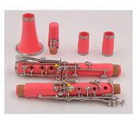 Clarinetto In Sib 17 Tasti Klarnet In Sib/Materiale Del Corpo In ABS Clarinetto Clarinetti (Color : E101)