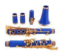 Clarinetto In Sib 17 Tasti Klarnet In Sib/Materiale Del Corpo In ABS Clarinetto Clarinetti (Color : E113)