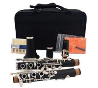 Clarinetto In Sib 20 Tasti Il Materiale Della Superficie Placcato Nichel Include Accessori