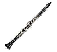 Lechgold BK-20/22 Clarinetto Bb tedesco, 22 chiavi, 6 anelli, corpo grenadilla, meccanica nickel silver argentato. Include 2 ance, bocchino e custodia morbida.