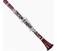 Clarinetto per principianti Clarinetto B Clarinetto Piatto Clarinetto In Mogano Strumento Pratica Di Esame Per Principianti Per Adulti